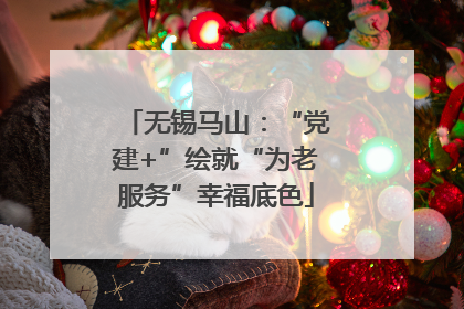 无锡马山：“党建+”绘就“为老服务”幸福底色