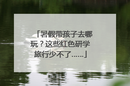 暑假带孩子去哪玩？这些红色研学旅行少不了……