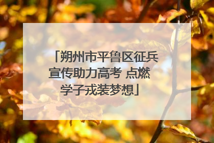 朔州市平鲁区征兵宣传助力高考 点燃学子戎装梦想