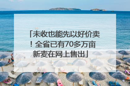 未收也能先以好价卖！全省已有70多万亩新麦在网上售出