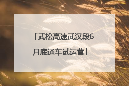 武松高速武汉段6月底通车试运营