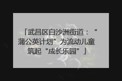 武昌区白沙洲街道：“蒲公英计划”为流动儿童筑起“成长乐园”