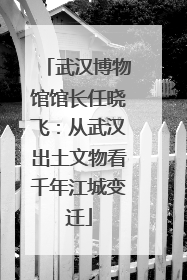 武汉博物馆馆长任晓飞：从武汉出土文物看千年江城变迁