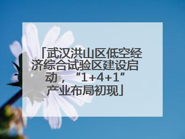武汉洪山区低空经济综合试验区建设启动，“1+4+1”产业布局初现