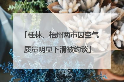 桂林、梧州两市因空气质量明显下滑被约谈