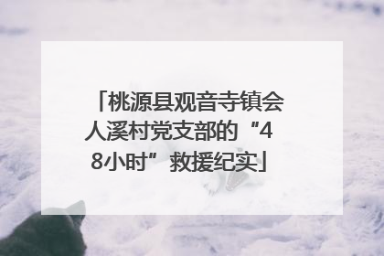 桃源县观音寺镇会人溪村党支部的“48小时”救援纪实