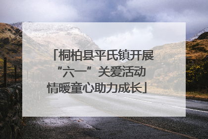 桐柏县平氏镇开展“六一”关爱活动 情暖童心助力成长