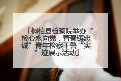 桐柏县检察院举办“检心永向党，青春铸忠诚”青年检察干警“实”迹展示活动