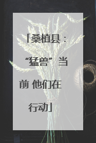 桑植县：“猛兽”当前 他们在行动