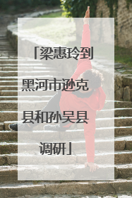 梁惠玲到黑河市逊克县和孙吴县调研