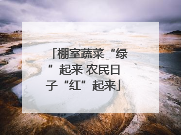 棚室蔬菜“绿”起来 农民日子“红”起来