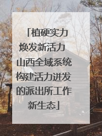 植硬实力 焕发新活力 山西全域系统构建活力迸发的派出所工作新生态