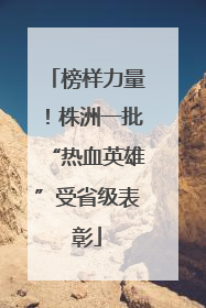 榜样力量！株洲一批“热血英雄”受省级表彰