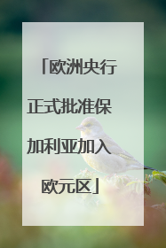 欧洲央行正式批准保加利亚加入欧元区