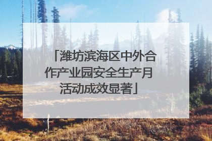 潍坊滨海区中外合作产业园安全生产月活动成效显著