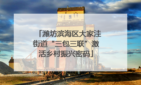 潍坊滨海区大家洼街道“三包三联”激活乡村振兴密码