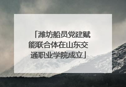 潍坊船员党建赋能联合体在山东交通职业学院成立