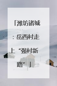 潍坊诸城：岳西村走上“强村新路”