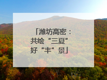 潍坊高密：共绘“三夏”好“丰”景