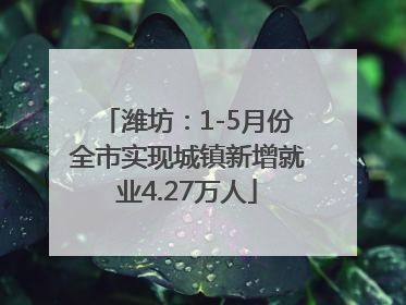 潍坊：1-5月份全市实现城镇新增就业4.27万人