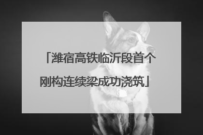 潍宿高铁临沂段首个刚构连续梁成功浇筑