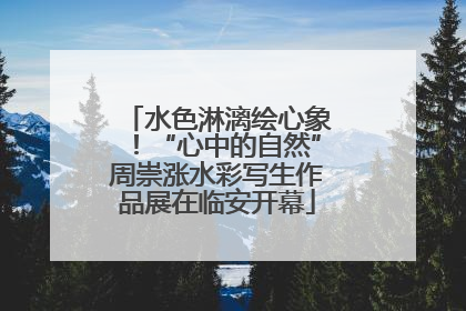 水色淋漓绘心象！“心中的自然”周崇涨水彩写生作品展在临安开幕