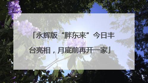 永辉版“胖东来”今日丰台亮相，月底前再开一家