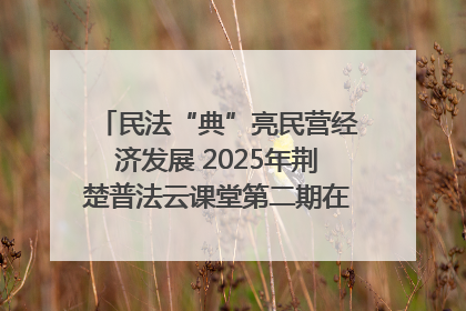 民法“典”亮民营经济发展 2025年荆楚普法云课堂第二期在武汉客厅开讲