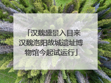 汉魏盛景入目来 汉魏洛阳故城遗址博物馆今起试运行
