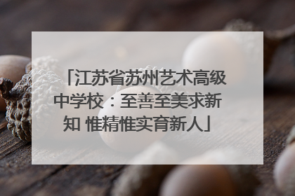 江苏省苏州艺术高级中学校：至善至美求新知 惟精惟实育新人