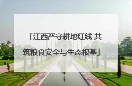 江西严守耕地红线 共筑粮食安全与生态根基