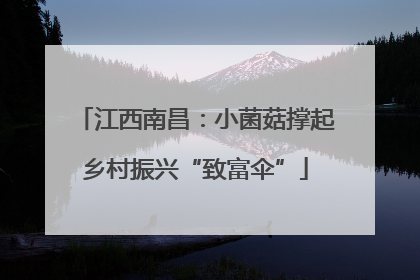 江西南昌：小菌菇撑起乡村振兴“致富伞”