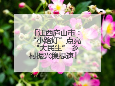 江西庐山市：“小路灯”点亮“大民生” 乡村振兴稳提速