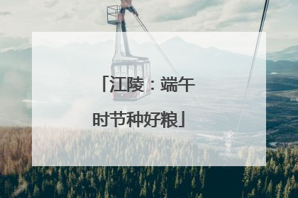 江陵：端午时节种好粮