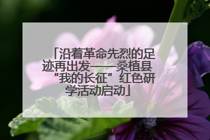 沿着革命先烈的足迹再出发——桑植县“我的长征”红色研学活动启动