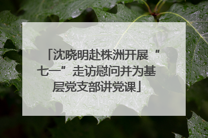 沈晓明赴株洲开展“七一”走访慰问并为基层党支部讲党课