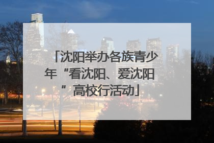 沈阳举办各族青少年“看沈阳、爱沈阳”高校行活动
