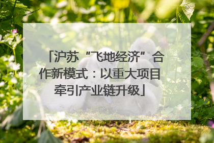 沪苏“飞地经济”合作新模式：以重大项目牵引产业链升级