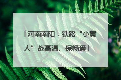 河南南阳：铁路“小黄人”战高温、保畅通