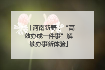 河南新野：“高效办成一件事”解锁办事新体验