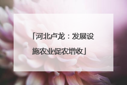 河北卢龙：发展设施农业促农增收