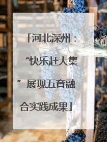 河北深州：“快乐赶大集”展现五育融合实践成果