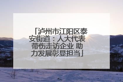 泸州市江阳区泰安街道：人大代表带伤走访企业 助力发展彰显担当