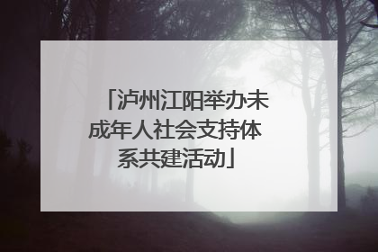 泸州江阳举办未成年人社会支持体系共建活动