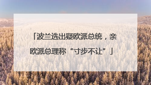 波兰选出疑欧派总统，亲欧派总理称“寸步不让”