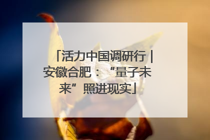 活力中国调研行｜安徽合肥：“量子未来”照进现实