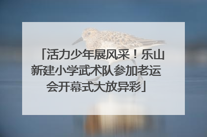 活力少年展风采！乐山新建小学武术队参加老运会开幕式大放异彩