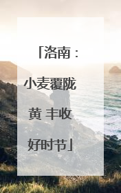 洛南：小麦覆陇黄 丰收好时节