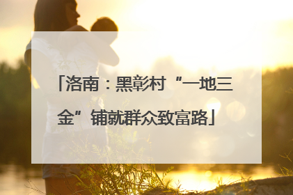 洛南：黑彰村“一地三金”铺就群众致富路