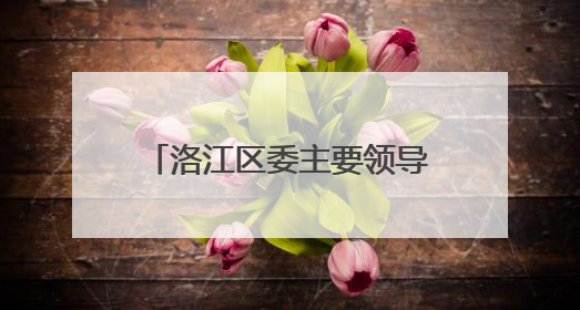洛江区委主要领导带队赴深圳开展跨境电商招商考察活动